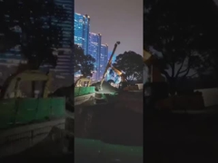 14M Teleskoparm für Bagger CAT320